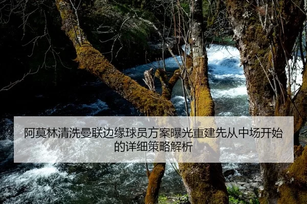 阿莫林清洗曼联边缘球员方案曝光重建先从中场开始的详细策略解析