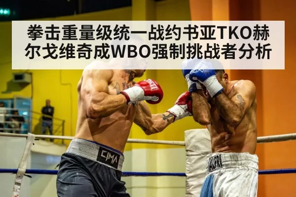 heavyweight boxing championship