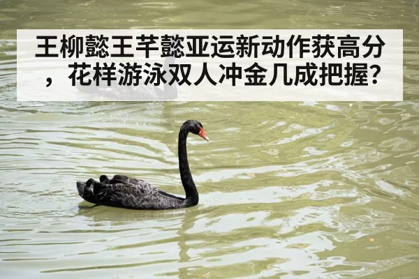 王柳懿王芊懿亚运新动作获高分，花样游泳双人冲金几成把握？ - xingkongyule